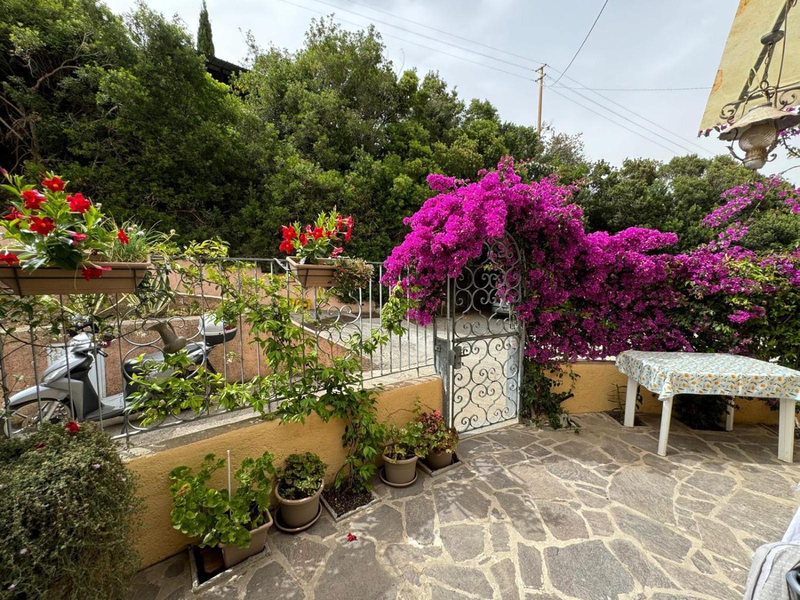 Villino Norsi Apartment Portoferraio Exterior photo